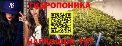 соль ск Волжск