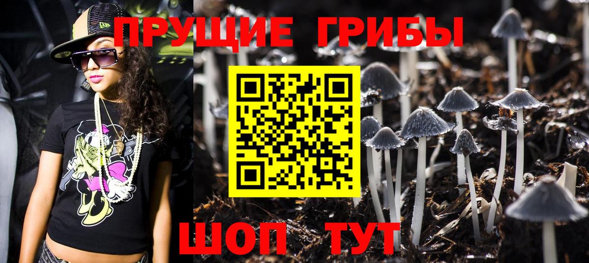 Уссурийск  Псилоцибиновые грибы Psilocybine cubensis  Вход с VPN 