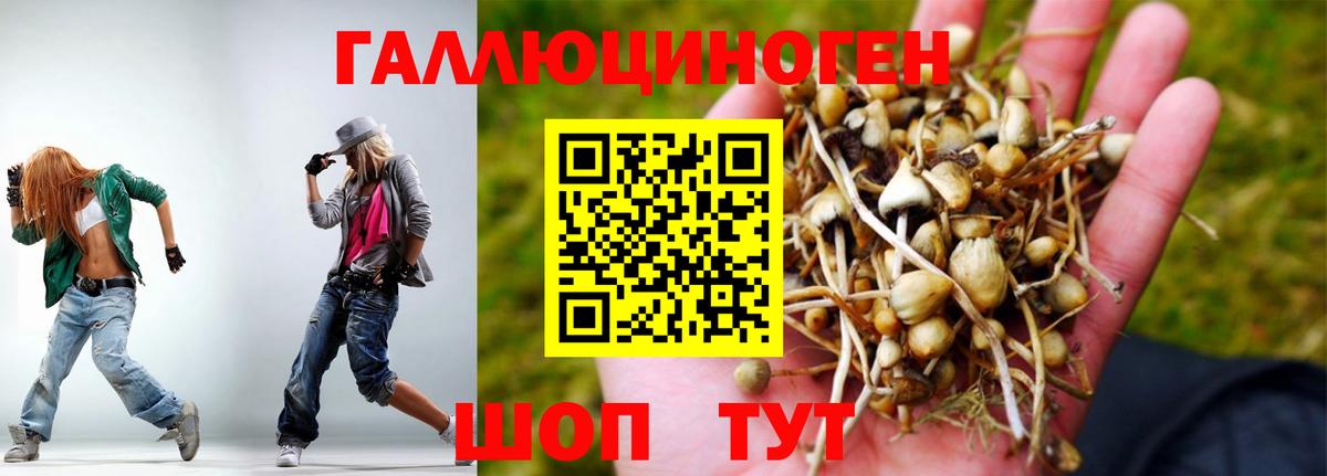 Галлюциногенные грибы MAGIC MUSHROOMS Уссурийск